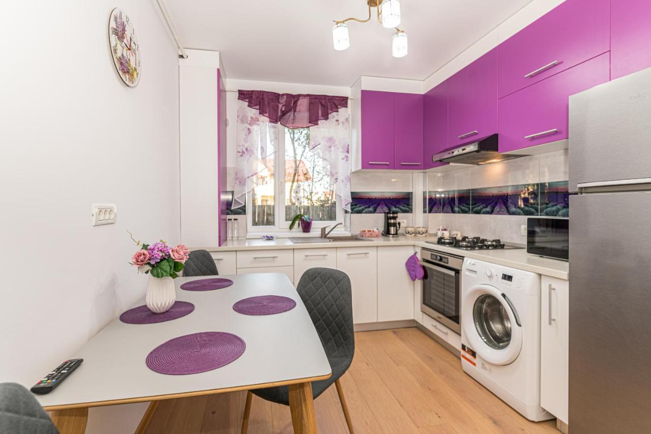 Apartamente Lavender Brașov Exterior foto
